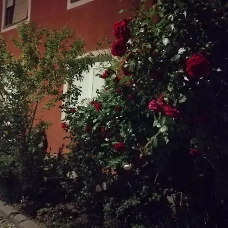 Nana * ياغودينا