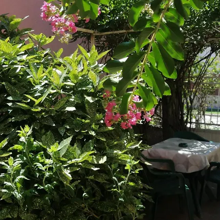 Nana * ياغودينا