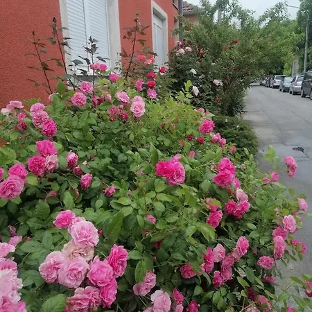 Nana Apartman Jagodina