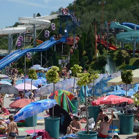 Nana * ياغودينا