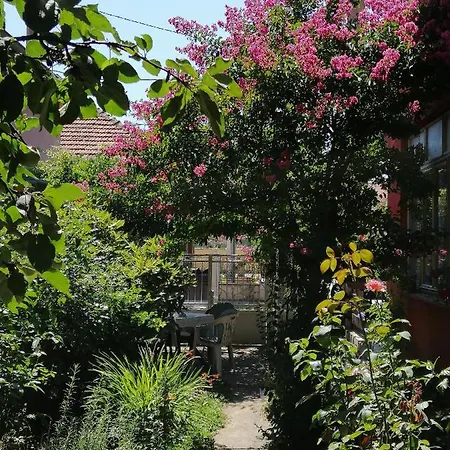 Nana Apartamento Jagodina