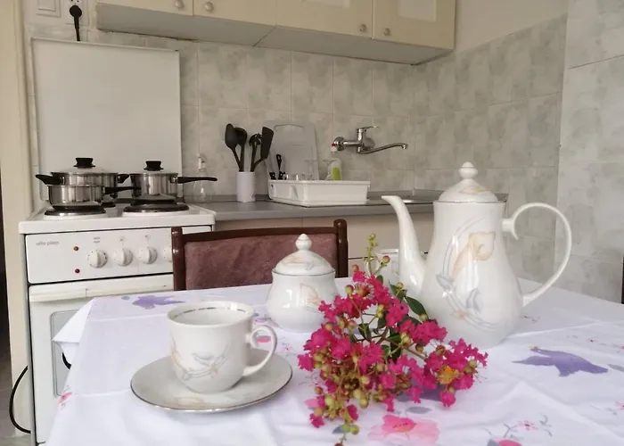 Nana Apartment Jagodina