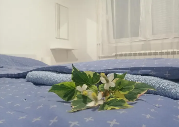 Nana Apartment Jagodina